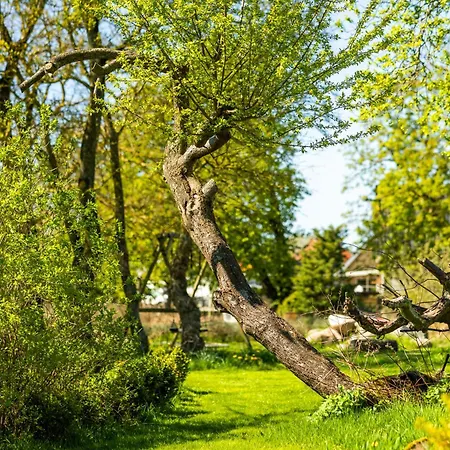 Solbjerggaard Bed & Breakfast Fåborg Esterno foto