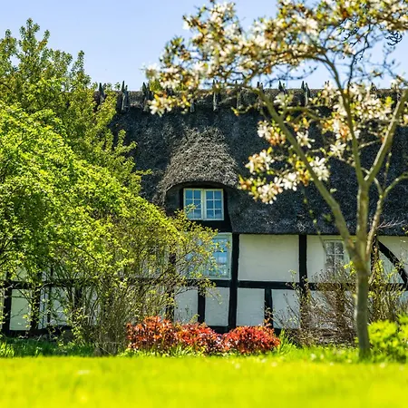 Solbjerggaard Bed & Breakfast Fåborg Esterno foto